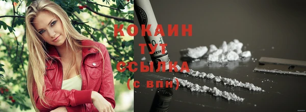 сатива Лабытнанги