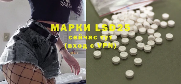 сатива Лабытнанги