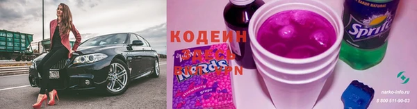 сатива Лабытнанги