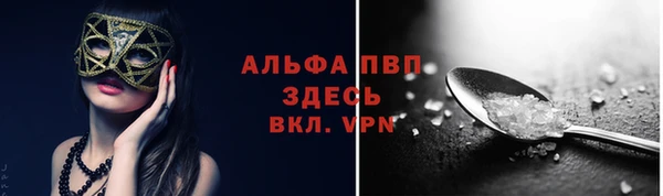 сатива Лабытнанги