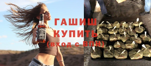 сатива Лабытнанги