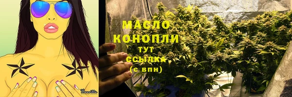 сатива Лабытнанги