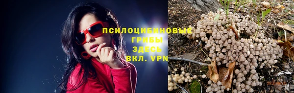а пвп мука Ладушкин