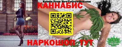 дурь Гатчина